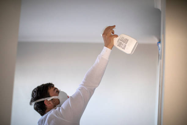 Best Residential Mold Remediation in Toftrees, PA
